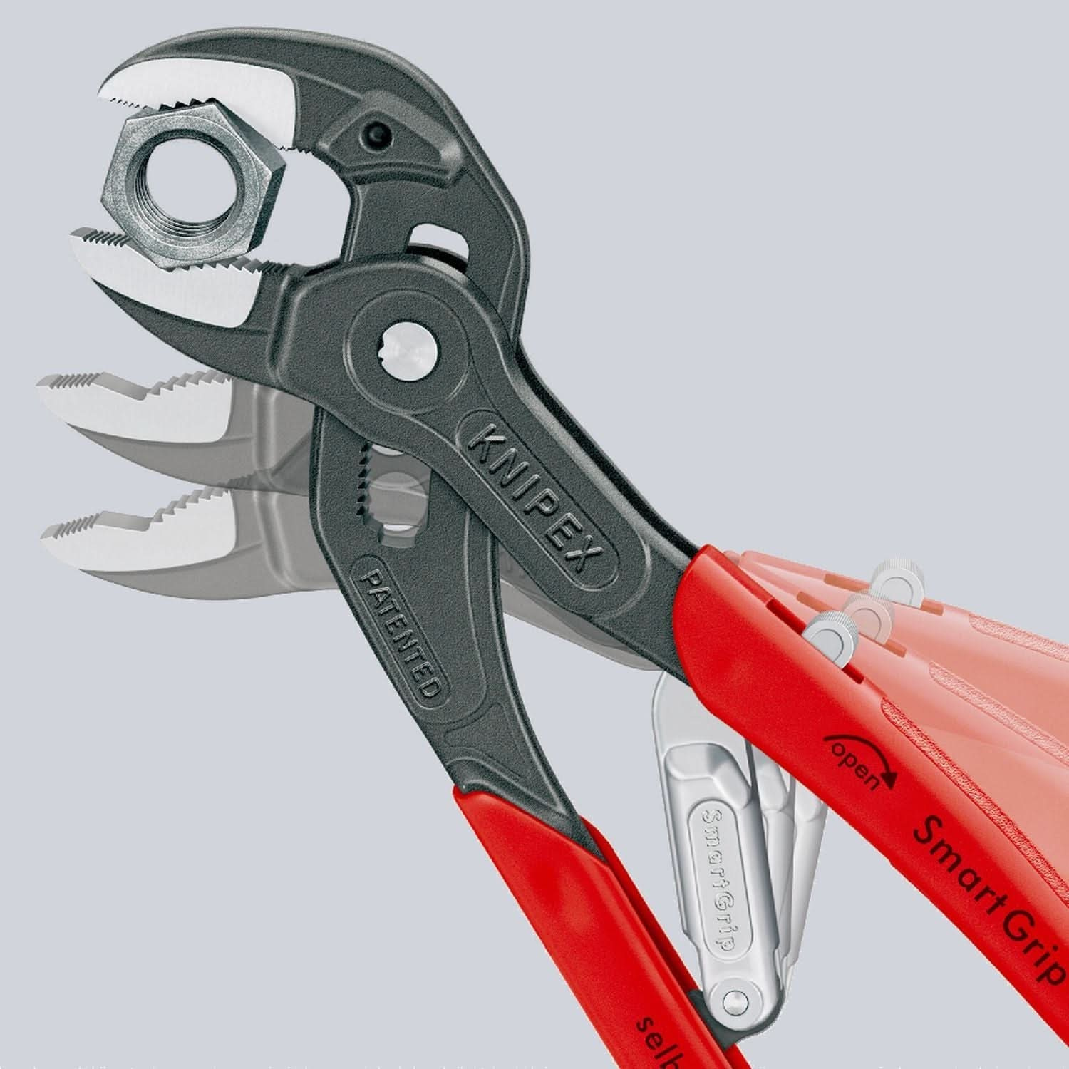85 01 250 US-40362189_3.jpg