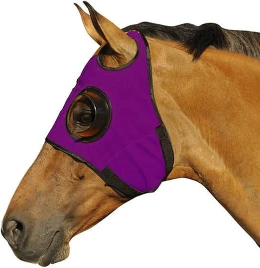 blinders-for-horse-41191990_4.jpg