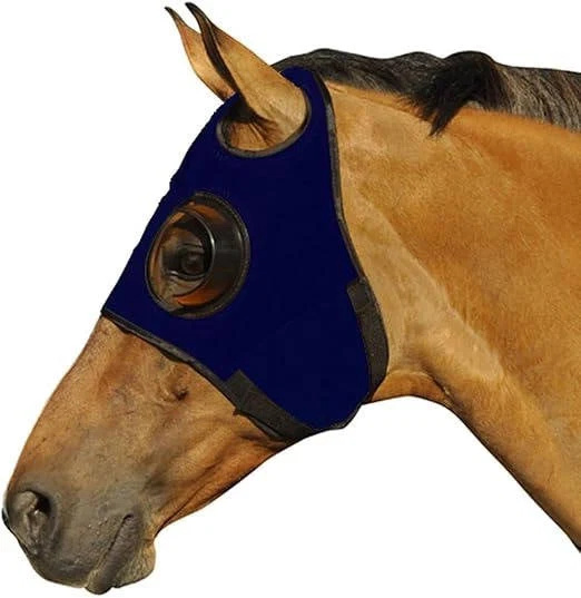 blinders-for-horse-41191990_2.jpg