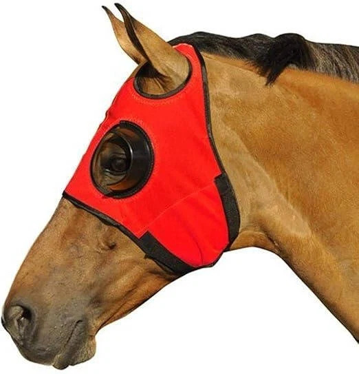 blinders-for-horse-41191990_5.jpg