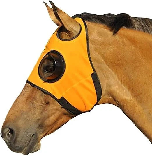 blinders-for-horse-41191990_3.jpg