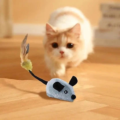 intelligent-mouse-toy-41191824_4.jpg