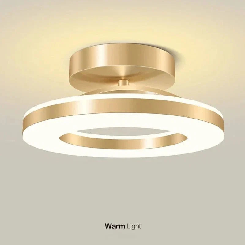 led-ceiling-light-fixture-41192379_4.jpg