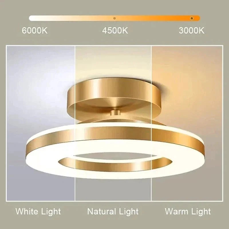 led-ceiling-light-fixture-41192379_2.jpg
