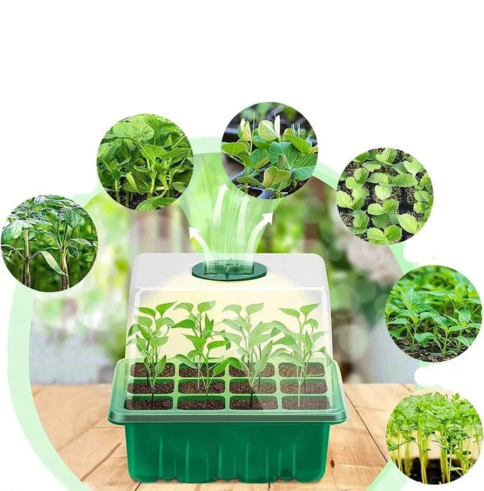 household-new-nursery-pot-with-lamp-plant--41191547_5.jpg
